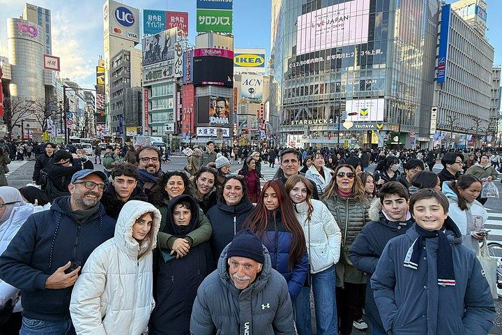 クルーズ港散策体験から東京1日プライベートツアー