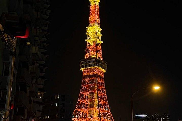 クルーズ港散策体験から東京1日プライベートツアー