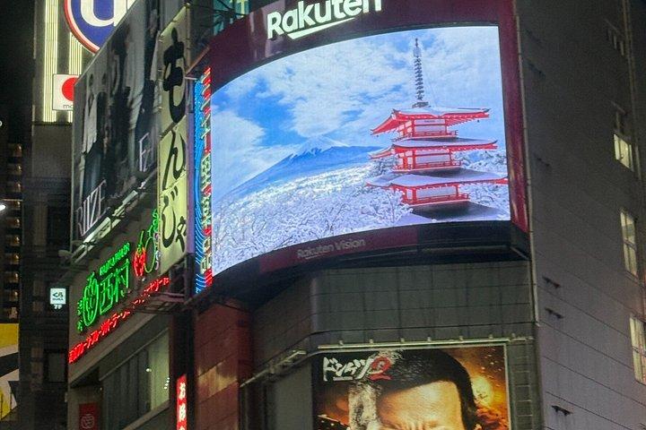 クルーズ港散策体験から東京1日プライベートツアー