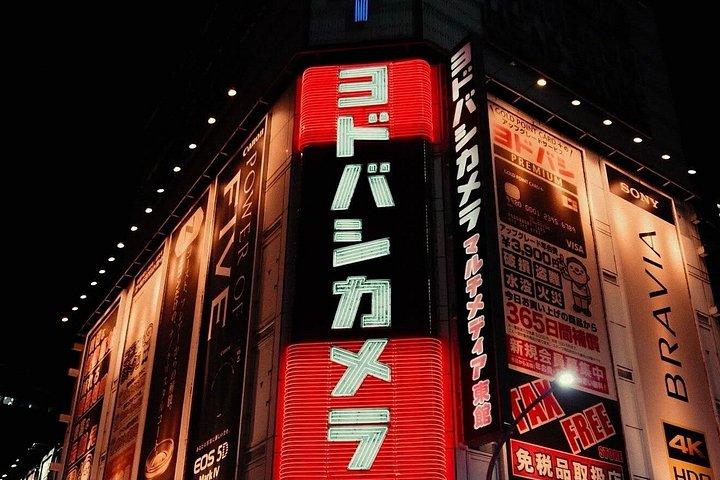 クルーズ港散策体験から東京1日プライベートツアー
