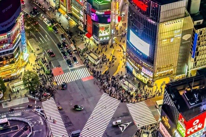クルーズ港散策体験から東京1日プライベートツアー