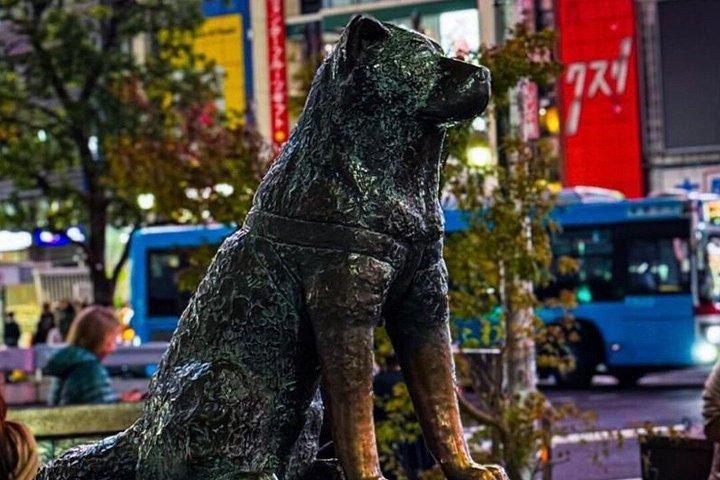 クルーズ港散策体験から東京1日プライベートツアー