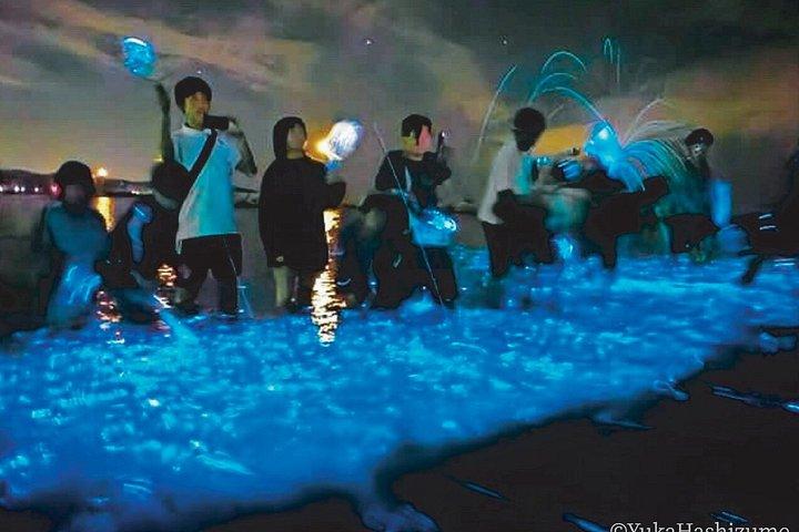 大阪発：淡路島ブルーグロー海ほたるナイトツアー