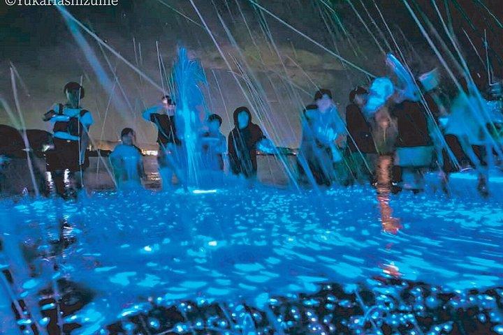 大阪発：淡路島ブルーグロー海ほたるナイトツアー
