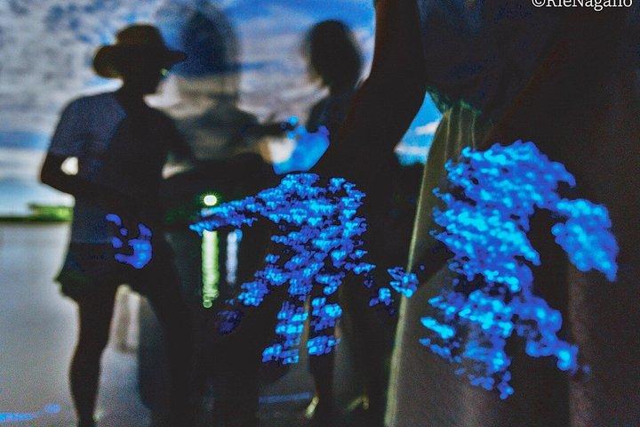 大阪発：淡路島ブルーグロー海ほたるナイトツアー