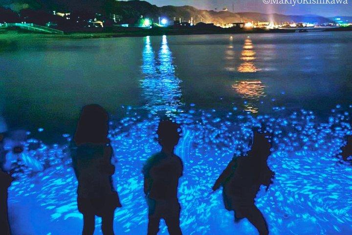 大阪発：淡路島ブルーグロー海ほたるナイトツアー