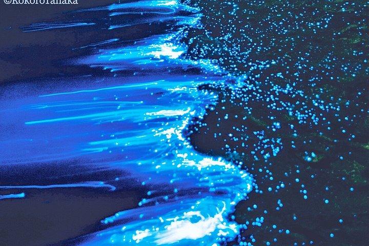 大阪発：淡路島ブルーグロー海ほたるナイトツアー