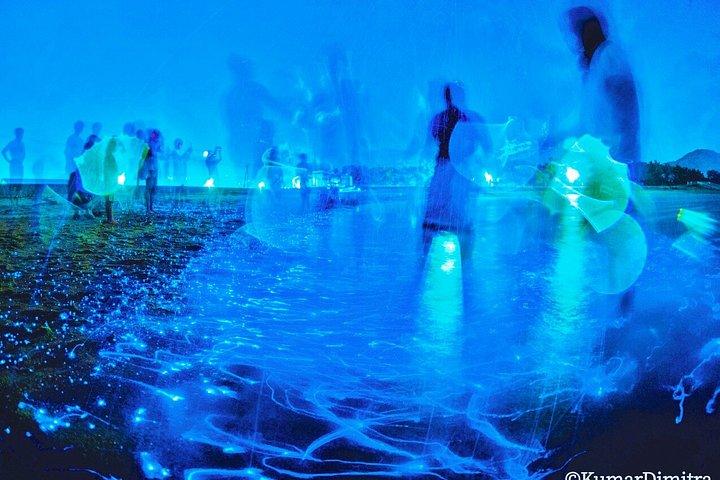 大阪発：淡路島ブルーグロー海ほたるナイトツアー