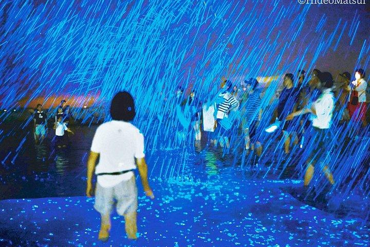 大阪発：淡路島ブルーグロー海ほたるナイトツアー