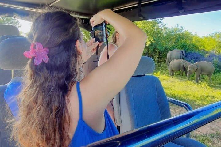 Udawalawa safari tur med privat jeep med hotel afhentning