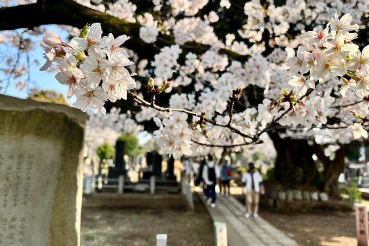 谷中散策ツアー：東京の歴史と伝統地区