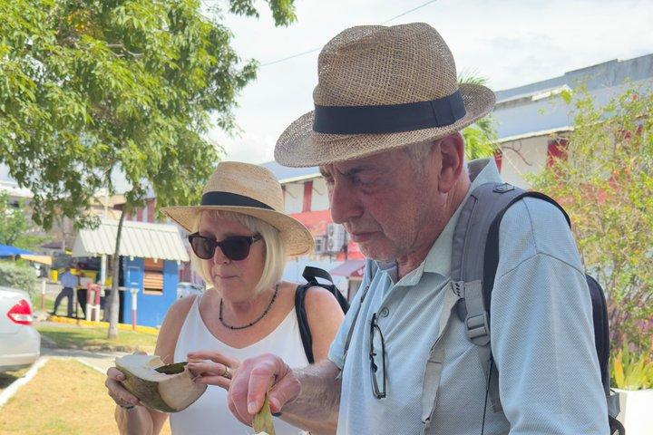 Jamaica Layover Tour från Kingston flygplats : 7-9 timmar Stadstur