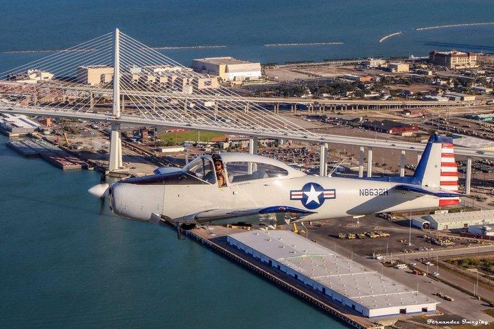 Tour panoramico privato del Texas meridionale in un aereo storico