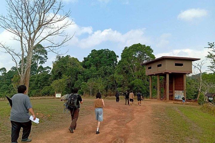 カオヤイ国立公園ハイキング＆滝終日プライベートツアー