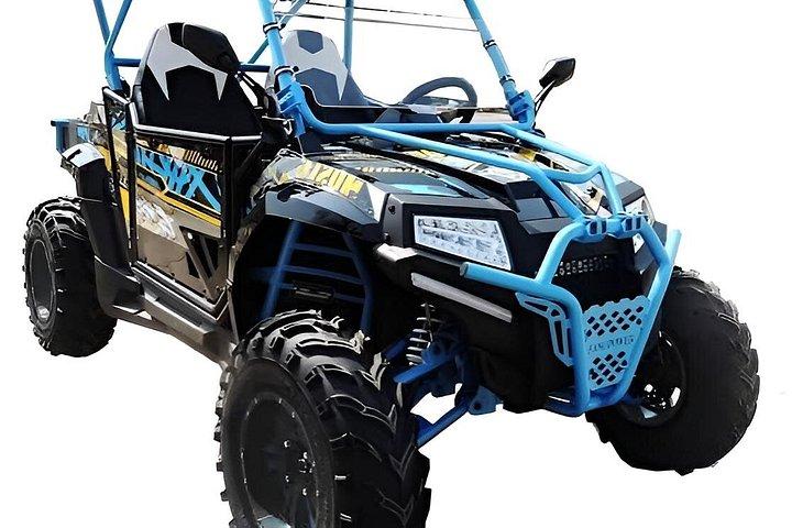 Atv Buggy guidet tur i Paros