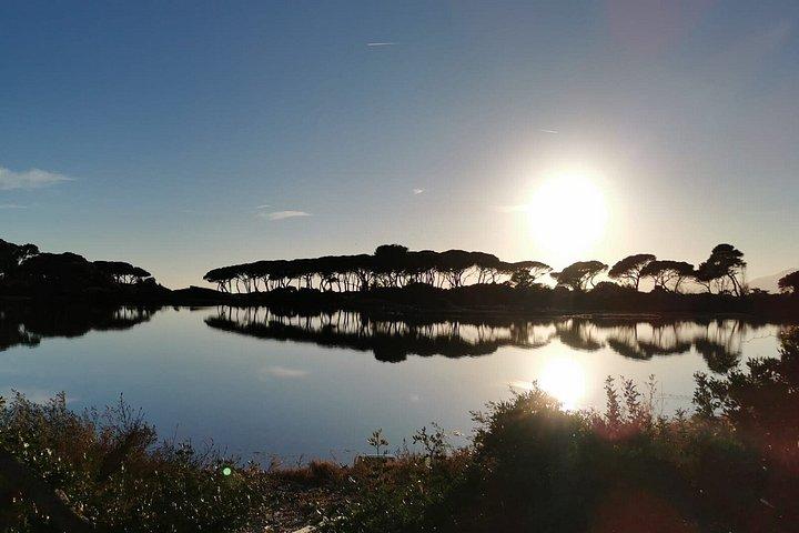 島でヴィンテージの帆船に乗ってアペリティフを楽しむ