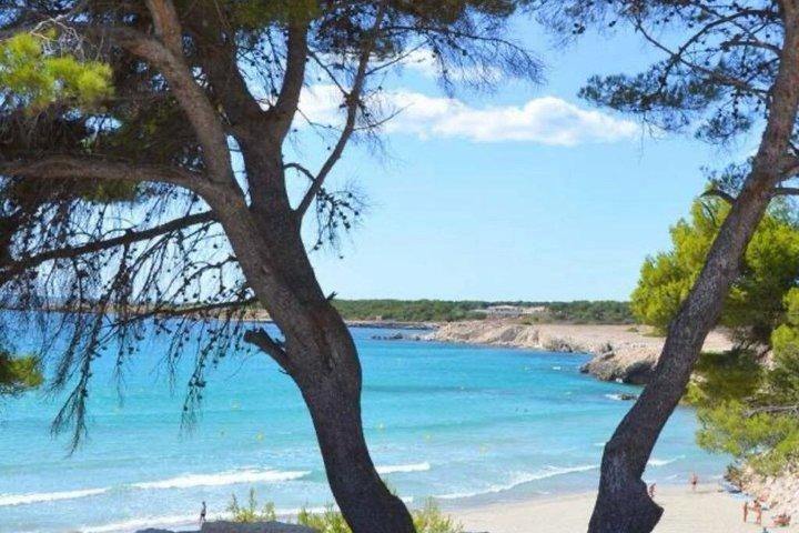 Cassis, le bellissime Calanques e Aix en Provence