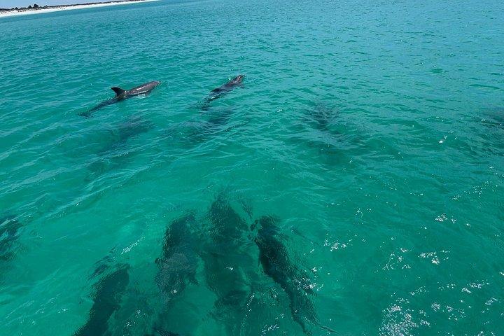Excursion privée de 3 heures à Shell Island à Panama City Beach