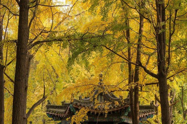 成都から見る寺院、顔の変わるショー、ローカルライフ