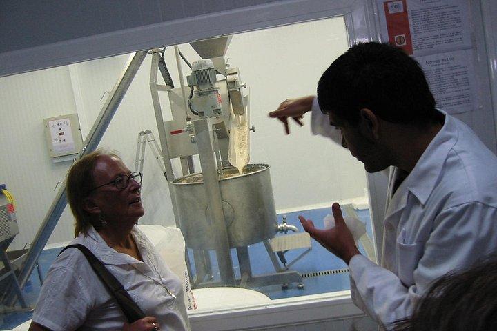 Espai Mórxata – オルチャタ文化体験