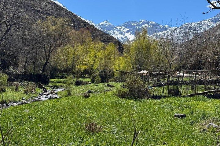 Marrakech: High Atlas, Imlil Valley og vandfaldstur