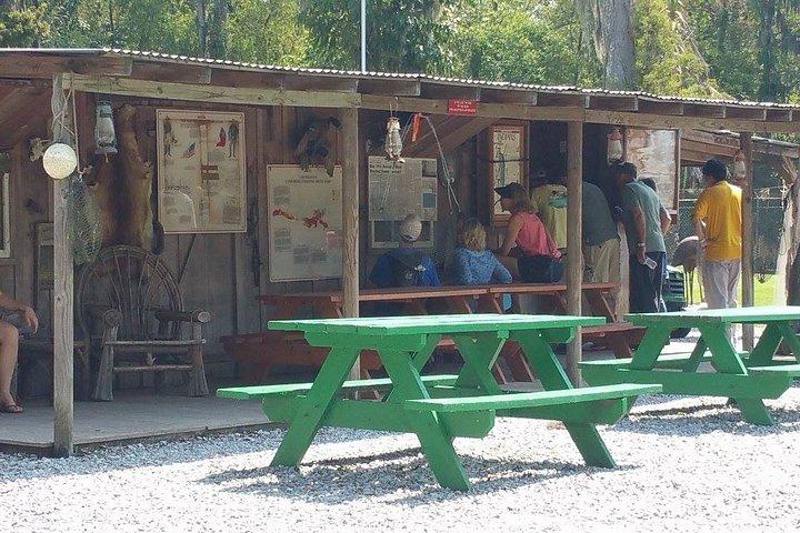 New Orleans Swamp Boat Tour