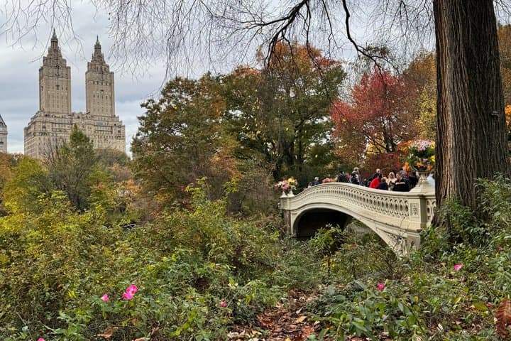 1 hour Discover Central Park Tour on Pedicab