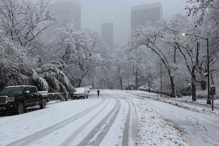 Discover Central Park Tour on Pedicab