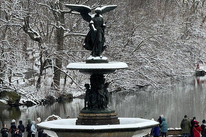 Discover Central Park Tour on Pedicab
