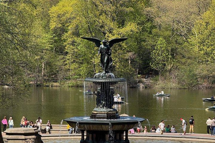 Discover Central Park Tour on Pedicab