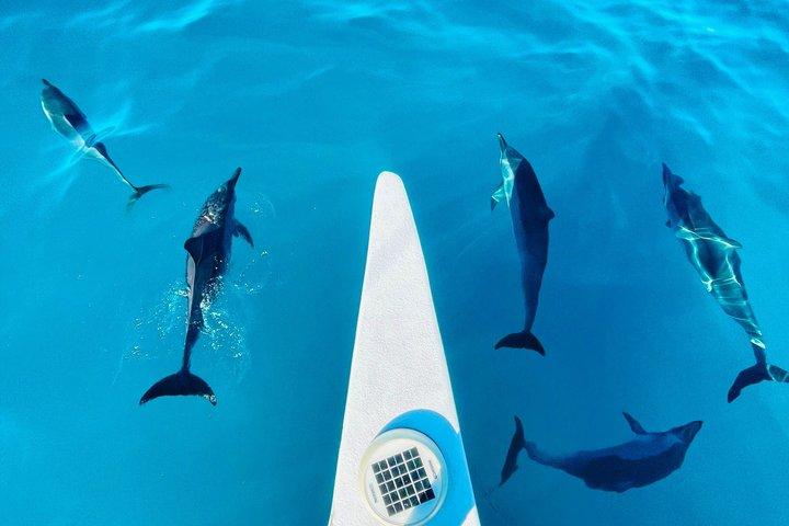 Snorkeling Adventure at Turtle Canyon