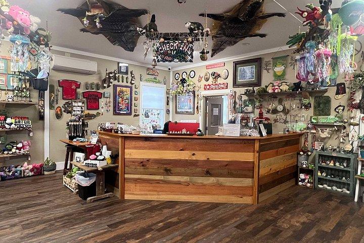 New Orleans Swamp Boat Tour
