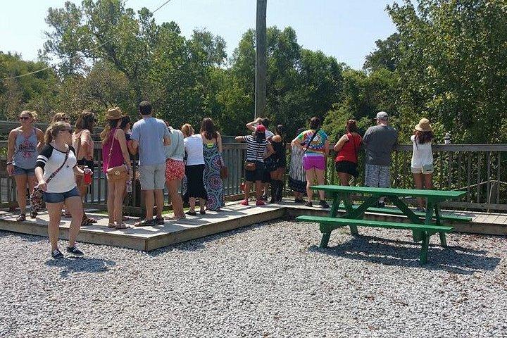 New Orleans Swamp Boat Tour