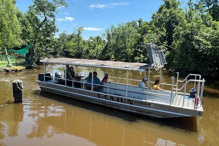 New Orleans Swamp Boat Tour
