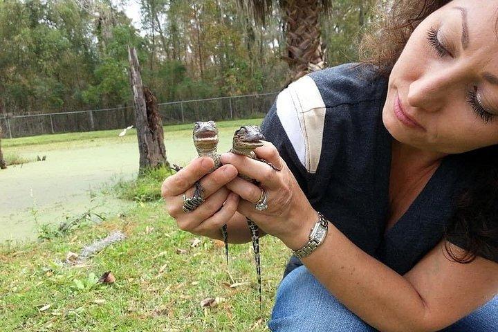 New Orleans Swamp Boat Tour