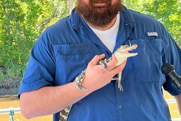 New Orleans Swamp Boat Tour