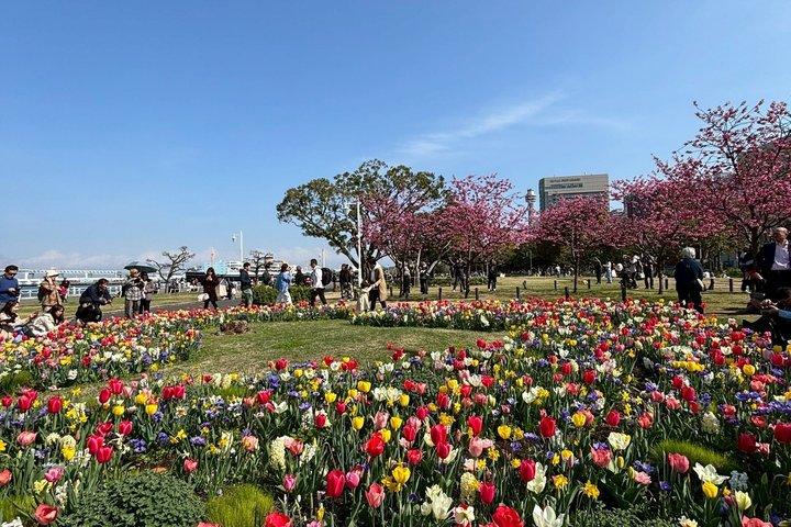 Yokohama Highlights Halbtägige private Wanderung :