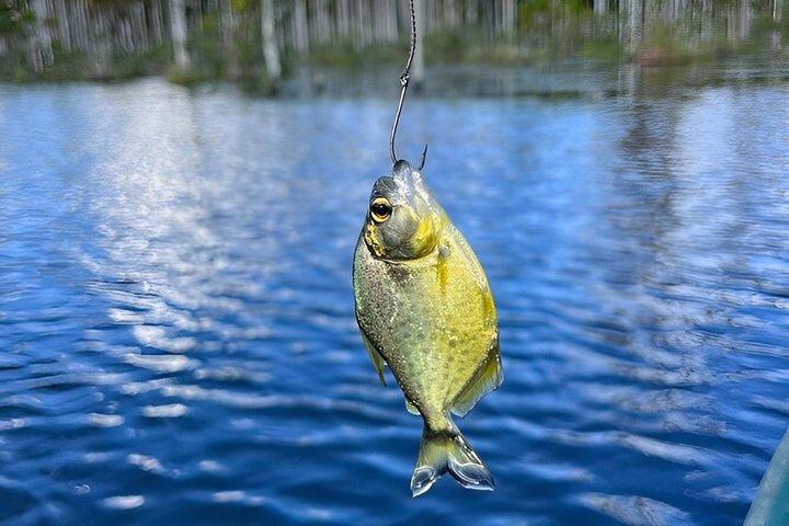Vanaf Puerto Maldonado Piranha Vissen Avontuur bij Yacumama Lake