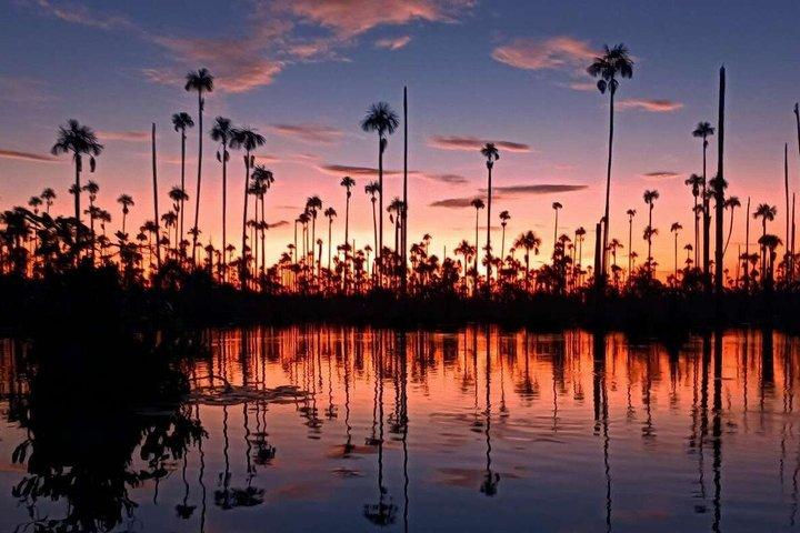 Vanaf Puerto Maldonado Piranha Vissen Avontuur bij Yacumama Lake