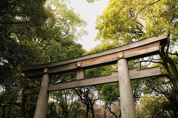 原宿・明治神宮文化散策ツアー東京