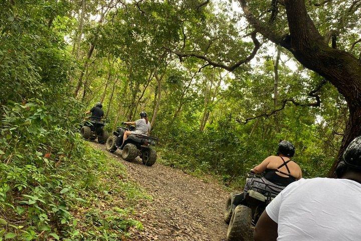 Roatan Excursion: ATV Adventure / Sloths and Monkey Hangout