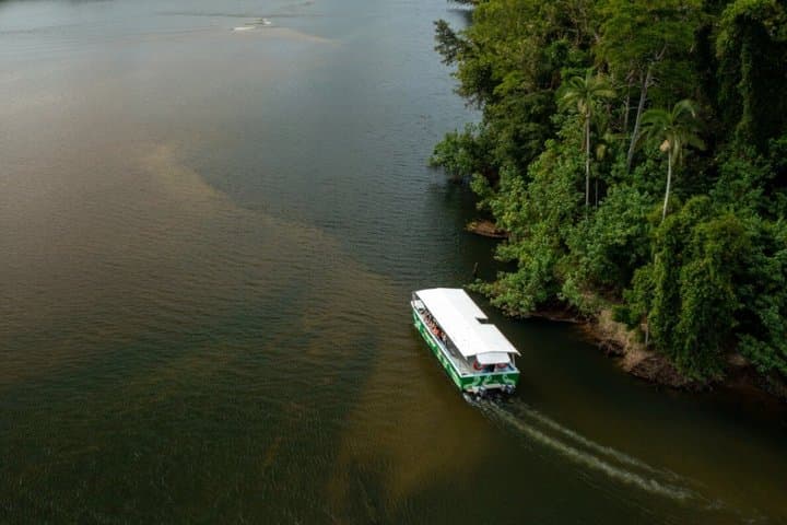 Cape Tribulation, Mossman Gorge and Daintree Rainforest Day Tour