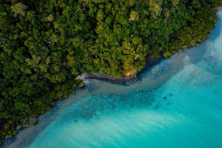 Cape Tribulation, Mossman Gorge e Daintree Rainforest Day Tour