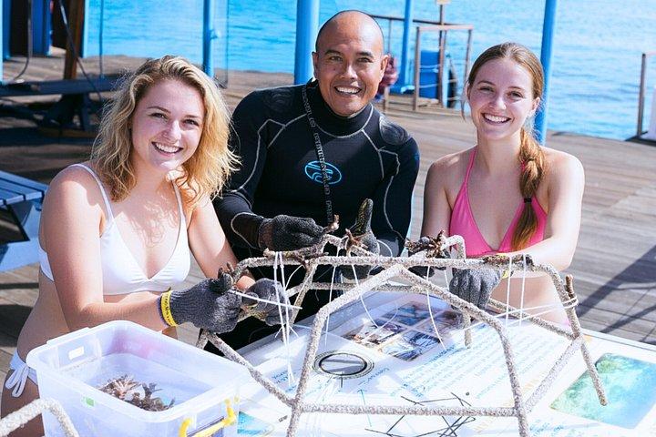 バリ島からレンボンガン島日帰りクルーズ(シュノーケリング&ビーチクラブ付き)