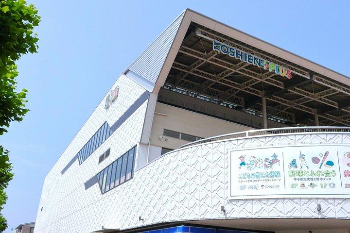 Hanshin Koshien Baseball Heritage Private Guide Tour