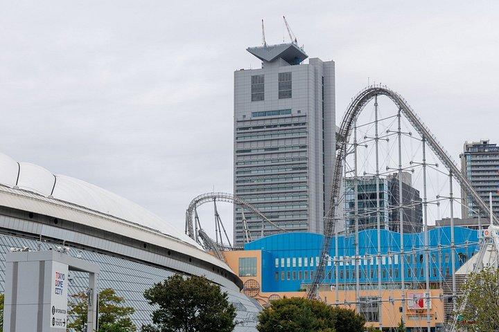東京野球観戦ガイドツアー（試合チケット付）