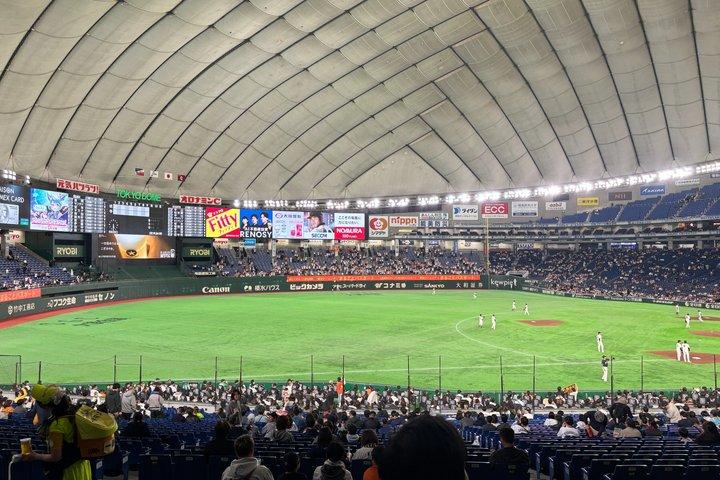 Guidad rundtur med spelbiljetter till Tokyo Baseball Watching