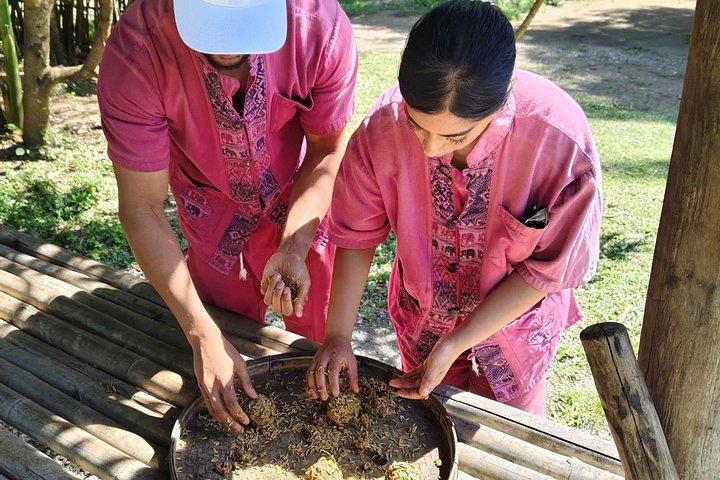 象のサンクチュアリ、スティッキー滝、地元の市場、寺院。