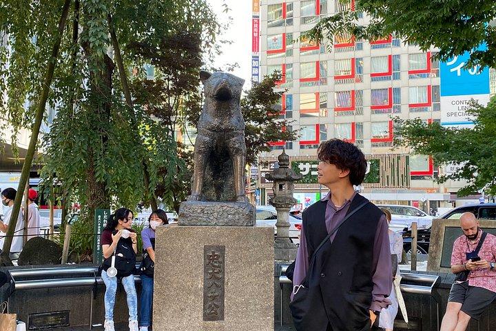 東京ハイライト英語ガイド付きプライベートツアー（車付き）