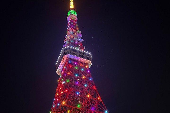 東京ハイライト英語ガイド付きプライベートツアー（車付き）